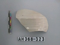 藏品(安平壺腹片)的圖片